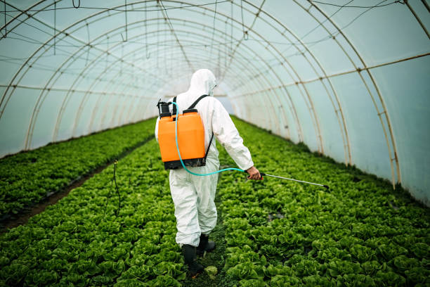 Best Commercial Pest Control Services  in Belle Plaine, MN