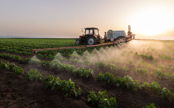 Professional Pest Control in Belle Plaine, MN