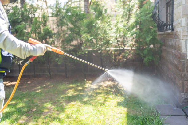 Best Pest Prevention Services  in Belle Plaine, MN