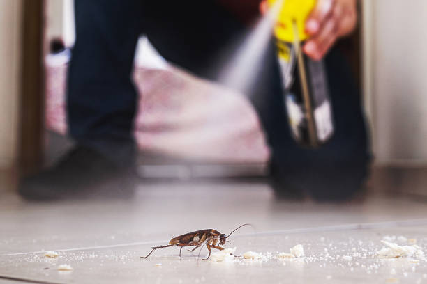 Pest Control for Restaurants in Belle Plaine, MN