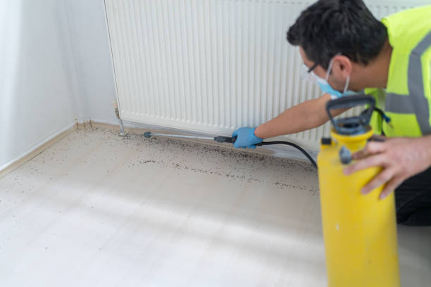Best Mosquito Control Services  in Belle Plaine, MN